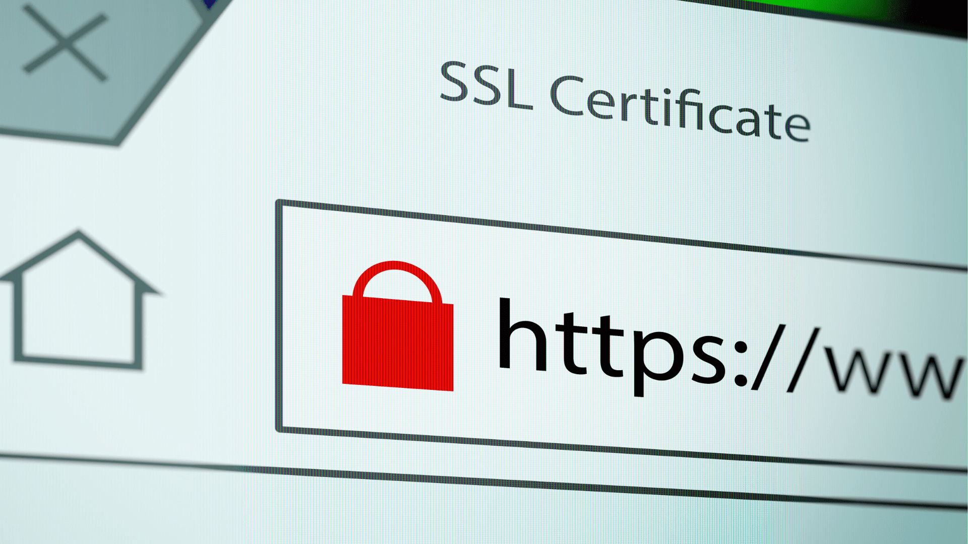 Ssl Certificate